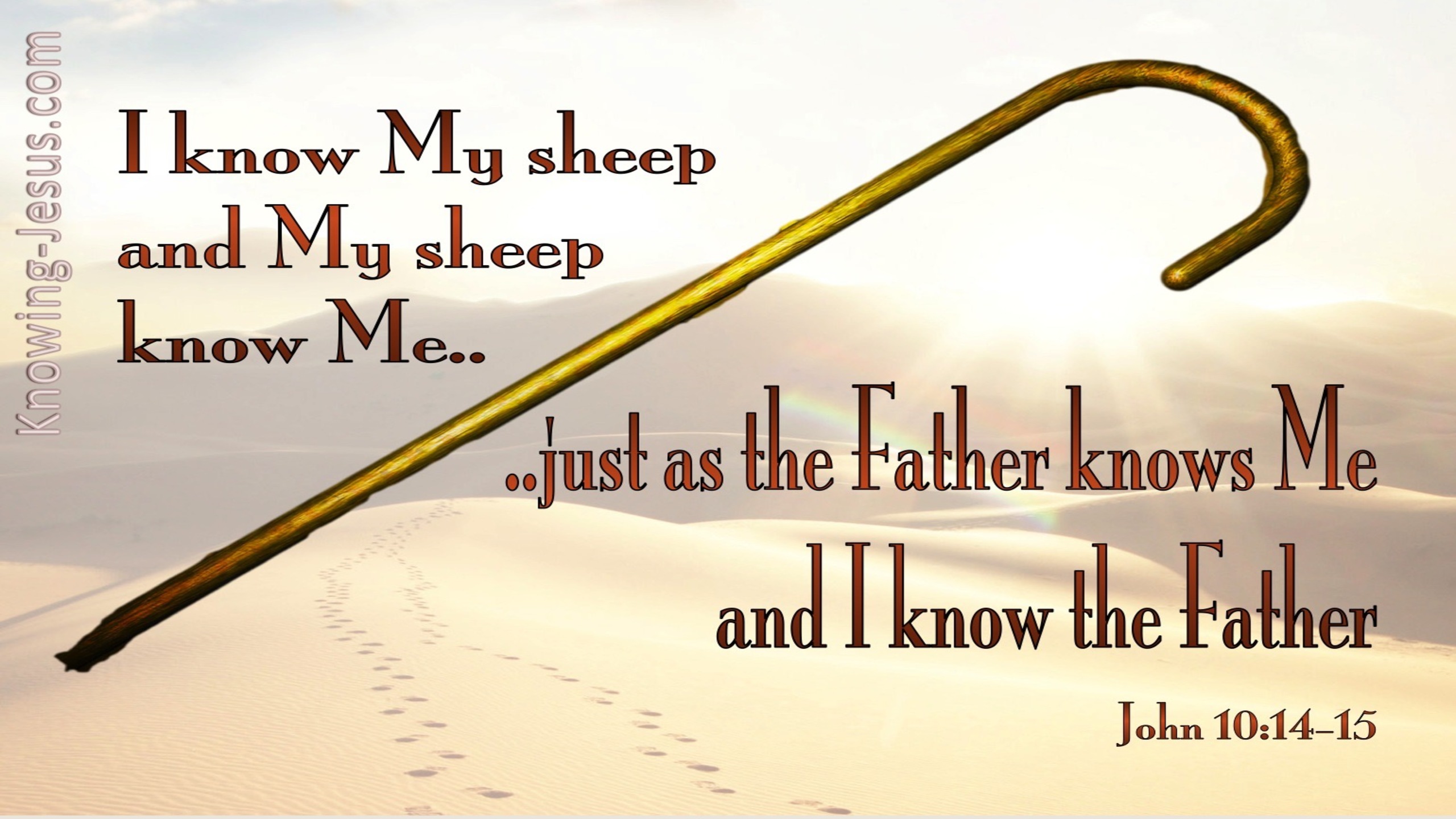 John 10:14 I Know My Sheep And My Sheep Know Me (white)